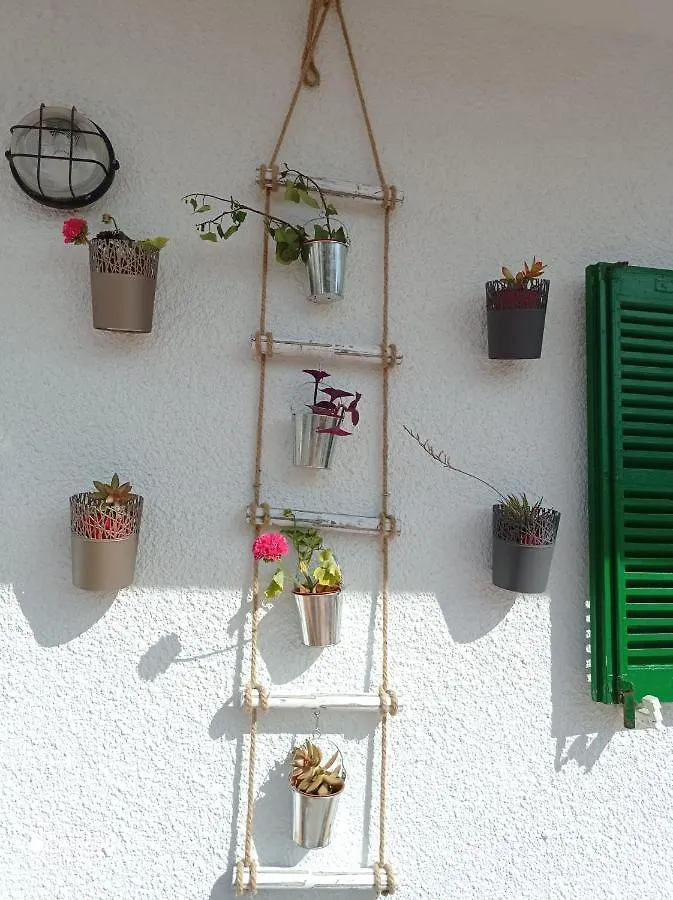 Fantastic, 100 Meters From The Beach Daire Can Picafort  0*, Can Picafort (Mallorca) İspanya